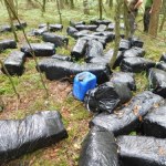 "Toksyczna zbrodnia". Oto co znaleziono w sercu lasu na Mazowszu