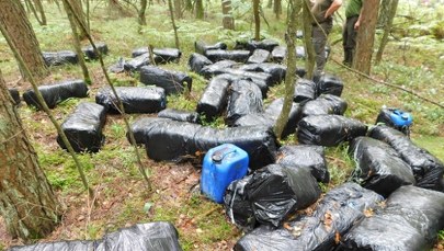 "Toksyczna zbrodnia". Oto co znaleziono w sercu lasu na Mazowszu