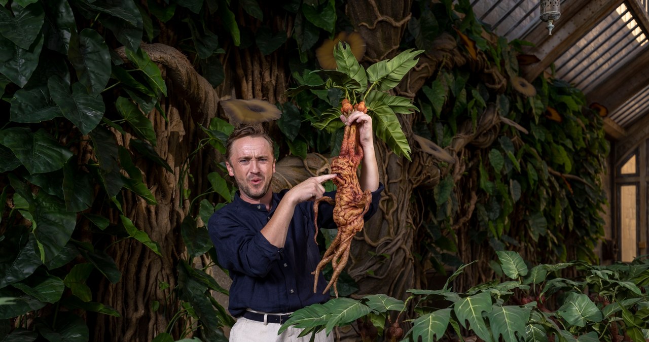 Tom Felton /Mike Marsland/Getty Images for Warner Bros. Studio Tour London /Getty Images