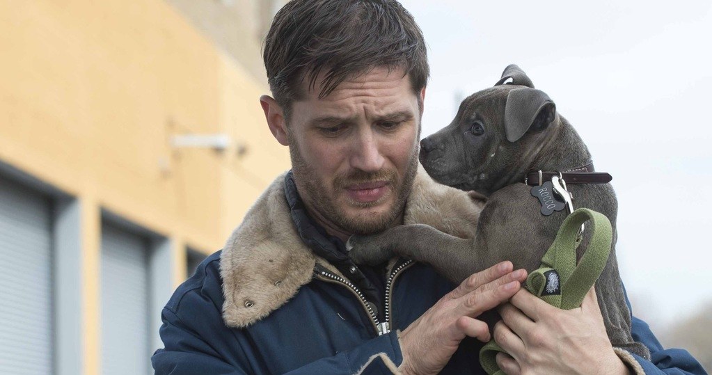 Tom Hardy /East News