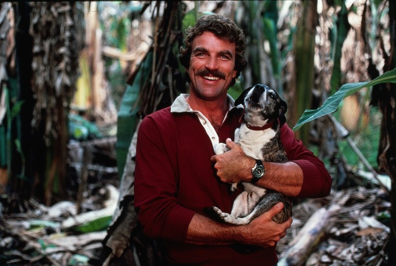 Tom Selleck w serialu "Magnum" (1983) /CBS Photo Archive  /Getty Images