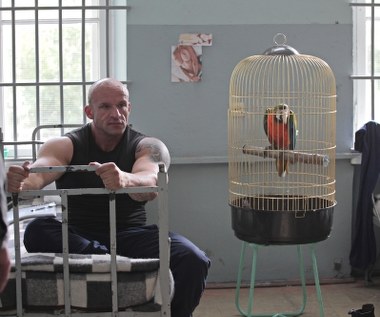 Tomasz Oświeciński urodził się w 1973 w Białymstoku. Jest aktorem niezawodowym. Zajmuje się także choreografią walk. Rozgłos i popularność przyniosła mu rola Marcina "Stracha" Opałki w filmie "Pitbull. Nowe porządki" Patryka Vegi. Oświeciński zagrał tam gangstera. 

- Wymyśliłem tę postać jako gościa, którego można polubić, który nie jest myślicielem, ale wzbudza sympatię. Miałem czas, żeby się przygotować do tej roli - wiedziałem o niej pół roku wcześniej. Wszystkie jego słynne odzywki są zasłyszane przeze mnie i prawdziwe - mówił w wywiadzie dla "Super TV".

Ale jego przygoda z planem filmowym zaczęła się wcześniej.