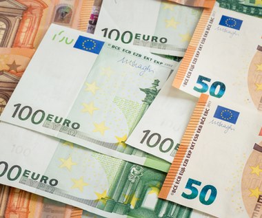 Tomasz Prusek: Apetyt firm na kredyty w euro może się źle skończyć