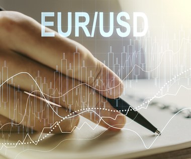 Tomasz Prusek: Euro tańczy, jak mu dolar zagra