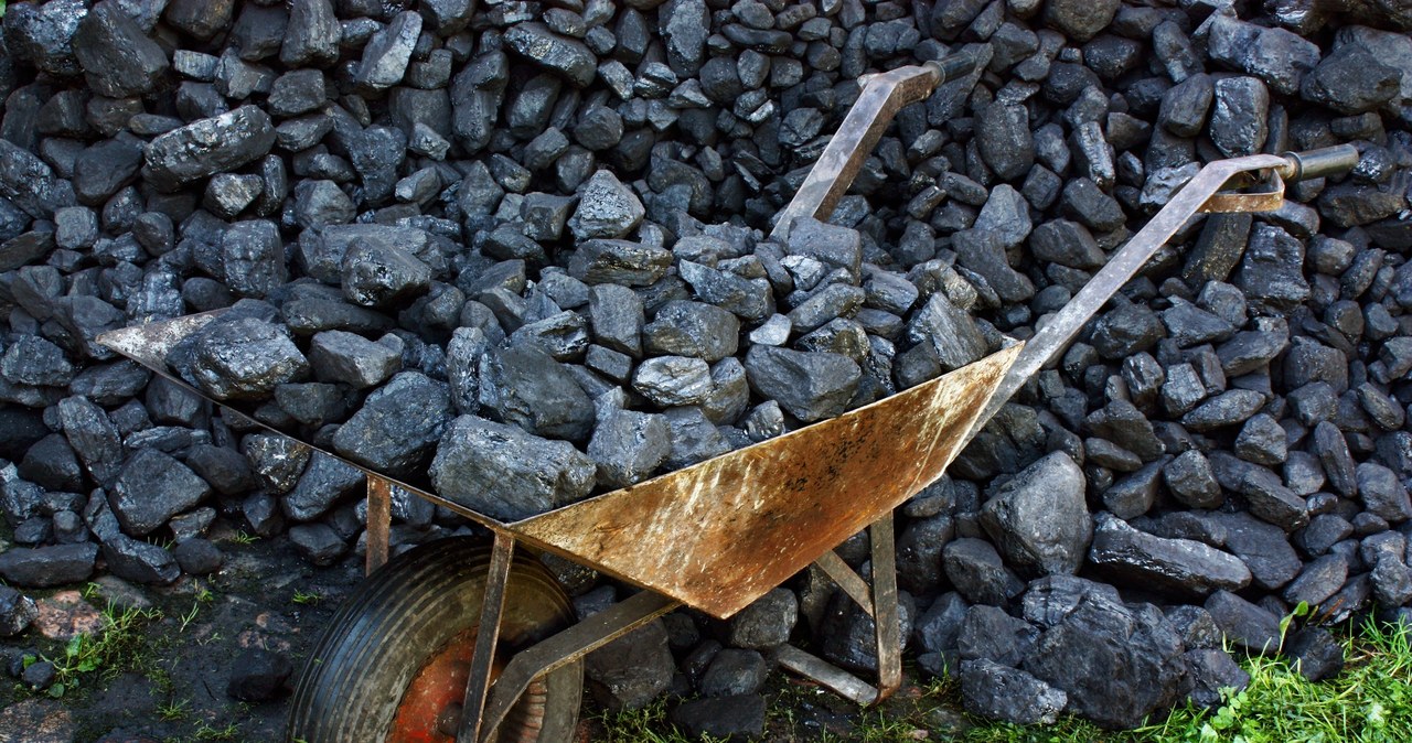 Tona energetycznego węgla kamiennego została wywindowana do poziomu aż 105 dolarów /123RF/PICSEL