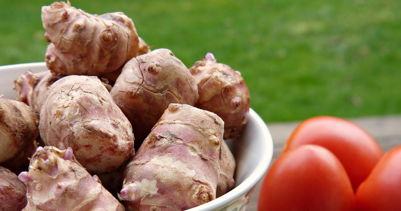 Топінамбур - це натуральний суперфуд за невеликі гроші /pixabay.com