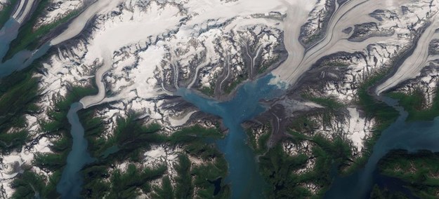 "Topniejąc i Znikając" - lodowiec Columbia na Alasce - jeden z najszybciej zanikających lodowców na Ziemi - II miejsce /Kamil Onoszko (Copernicus Sentinel-2 30.07.2023) /Materiały prasowe