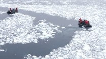 Topnienie Antarktydy. Sygnał ostrzegawczy dla Ziemi
