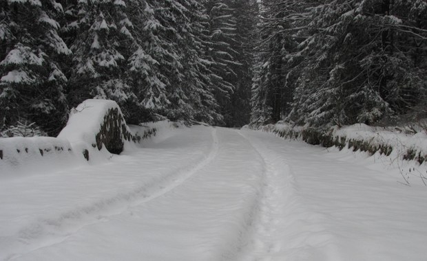 TOPR ogłosił zagrożenie lawinowe w Tatrach