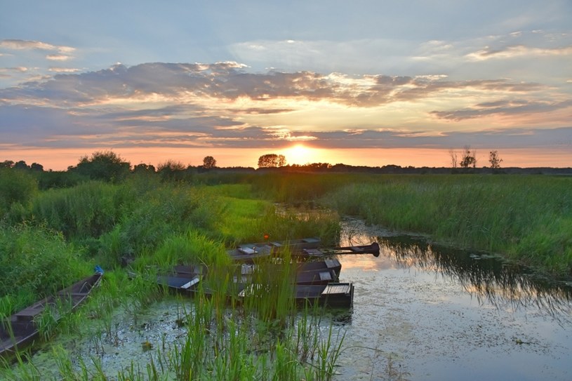 Torfowiska, gdy wysychają, przyczyniają się do przyspieszenia zmian klimatycznych /Albin Marciniak /East News