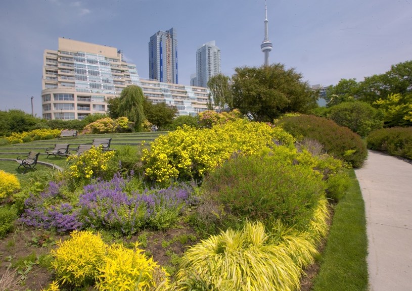 Toronto /Barrett & MacKay /East News