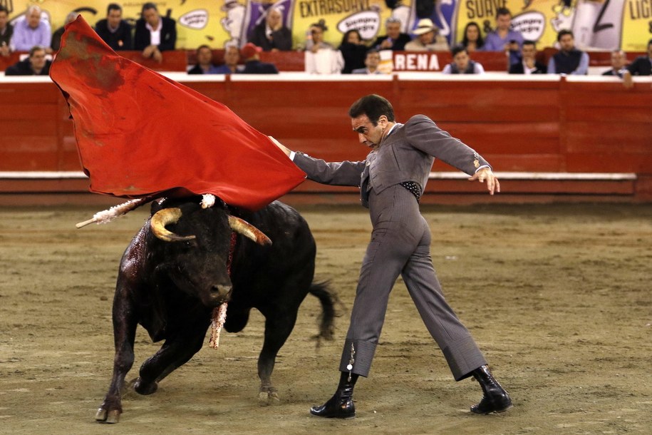 Torreador Enrique Ponce w akcji z 430-kilogramowym bykiem Clarinete, podczas targów w Manizales  w Kolumbii / 	SANTIAGO OSORIO /PAP/EPA
