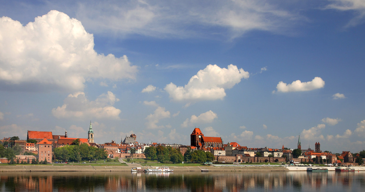 Toruń. Panorama miasta /Jan Morek /Agencja FORUM