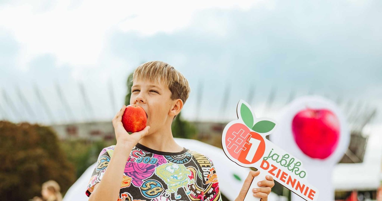 Towarzystwo Rozwoju Sadów Karłowych /materiały promocyjne