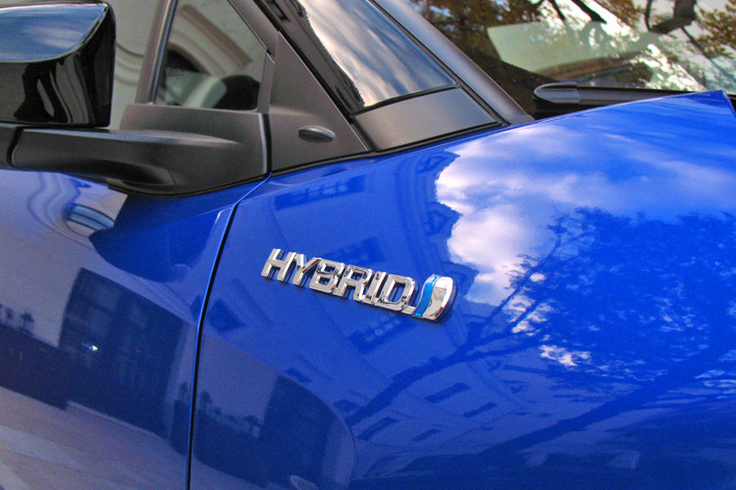 Toyota C-HR hybrid /INTERIA.PL