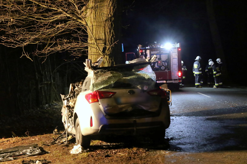 Toyota Corolla uderzyła w drzewo /Krzysztof Świderski /PAP