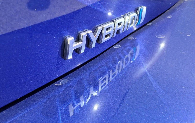 Toyota podsumowała sprzedaż swoich hybryd w Polsce w 2023 roku. /Maciej Olesiuk /INTERIA.PL