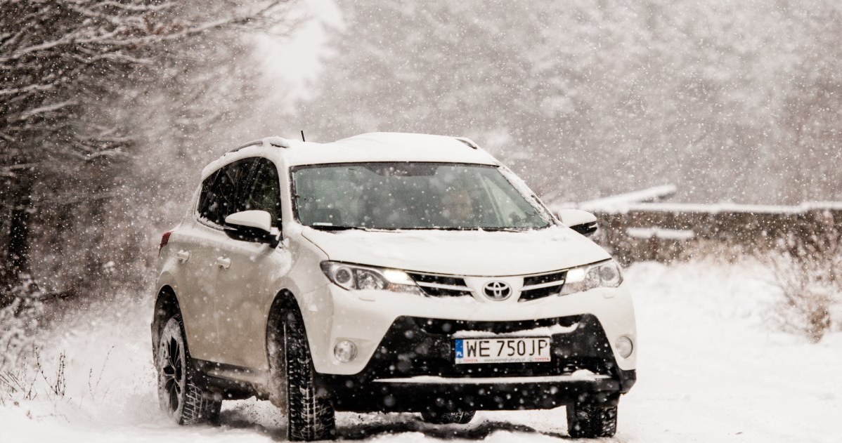 Toyota RAV4 /Fot. Anna Kondraciuk  /INTERIA.PL