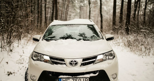 Toyota RAV4 /Informacja prasowa