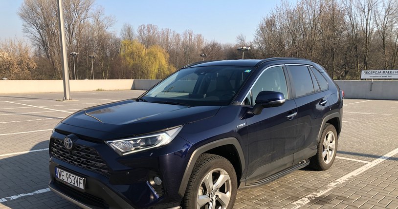 Toyota RAV4 /INTERIA.PL