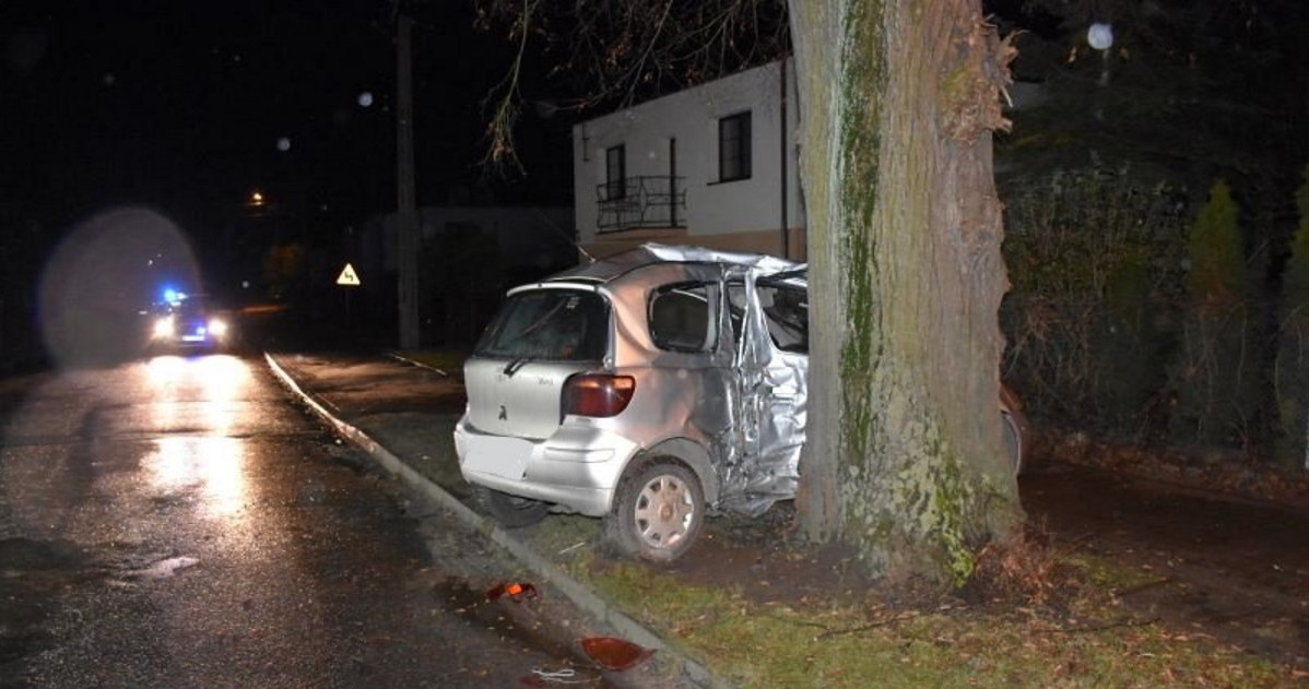 Toyota Yaris wypadła z drogi i rozbiła się o drzewo. Siedząca obok kierowcy 20-latka zginęła na miejscu /Policja