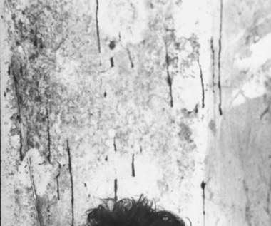 Tożsamość mordercy ustalono pod koniec 1977 roku. Okazał się nim dostawca pizzy Lionel Ray Williams. Przebywał on właśnie w więzieniu, gdzie odbywał karę za fałszowanie czeków. Doniesienie na niego zgłosiła jego żona. Kilka dni później kobieta popełniła samobójstwo. Więzienni strażnicy usłyszeli jednak, jak Williams przechwalał się zamordowaniem Mineo. Wypytywany przez policjantów, wpierw chciał zmylić trop, wskazując na problemy aktora z narkotykami. Ostatecznie przyznał się do zarzucanego mu czynu, zdradził jednak, że nie wiedział, na kogo napadł - Mineo był przypadkową ofiarą. Williams został skazany na 57 lat więzienia.