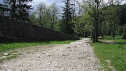 TPN  bardziej przyjazny dla dzieci i niepełnosprawnych