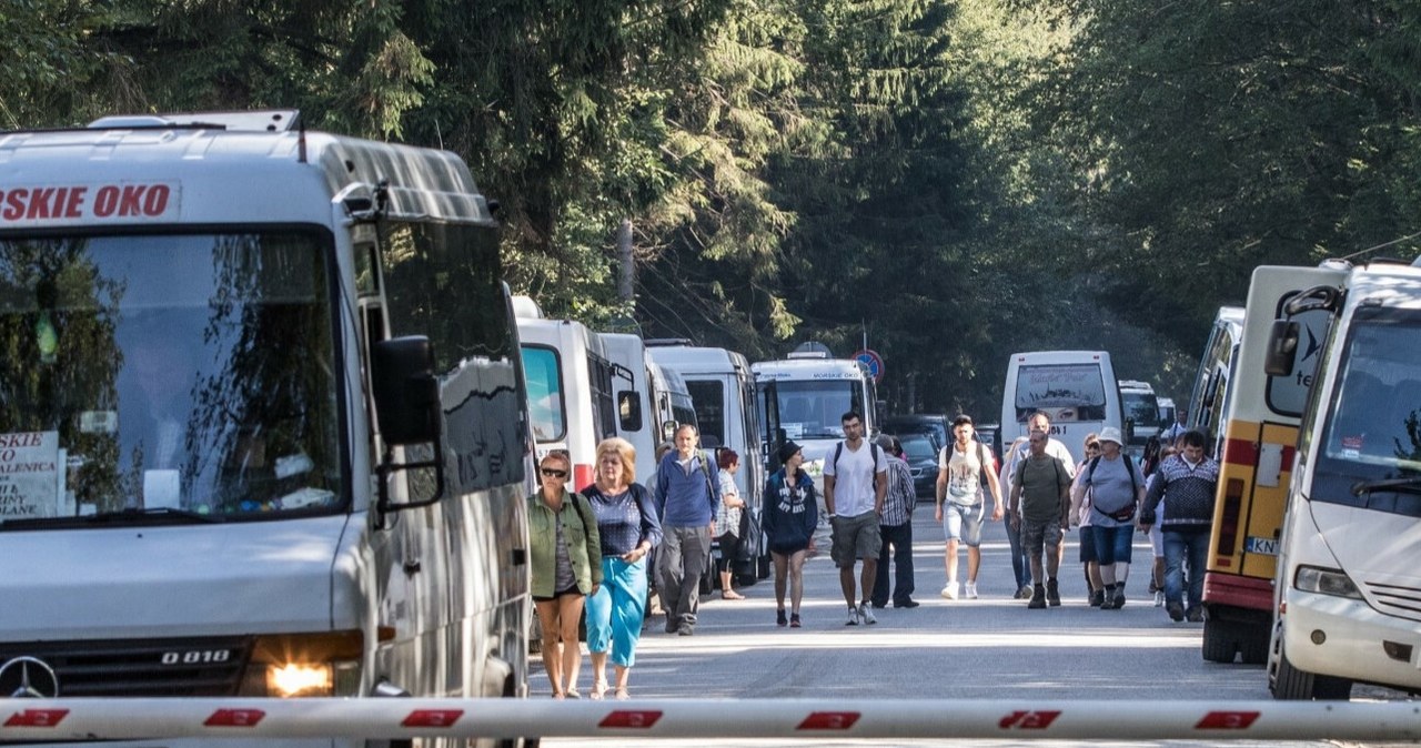 TPN chce, by busy wożące turystów na Palenicę Białczańską spełniały normę Euro 6. /Jan Graczyński /East News