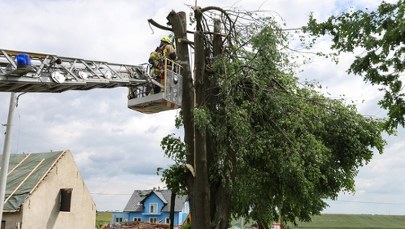 Trąba powietrzna na Opolszczyźnie. Jaką pomoc dostaną poszkodowani?