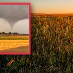 Trąba powietrzna pod Garwolinem. Trwa usuwanie szkód