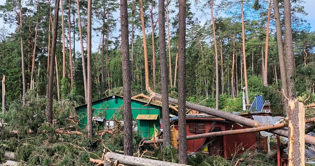 Trąba powietrzna połamała drzewa, które spadały na domki i samochody /PAP/KW PSP Olsztyn /PAP