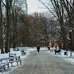 Tracimy bezpowrotnie tę porę roku? Średnia temperatura pobiła rekord