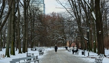 Tracimy bezpowrotnie tę porę roku? Średnia temperatura pobiła rekord