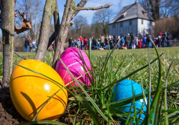Tradycja jaja symbolizującego życie przetrwała z czasów pogańskich /Michael Reichel    /PAP/EPA