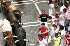 Tradycji stało się zadość: Byki pogoniły śmiałków