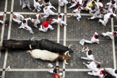 Tradycji stało się zadość: Byki pogoniły śmiałków