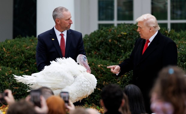 Tradycji stało się zadość. Trump ułaskawił dwa indyki
