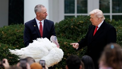 Tradycji stało się zadość. Trump ułaskawił dwa indyki
