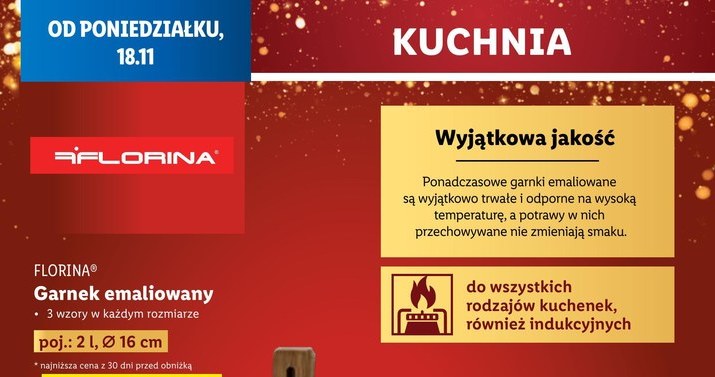 Tradycyjne, emaliowane garnki Florina w Lidlu! /Lidl /INTERIA.PL