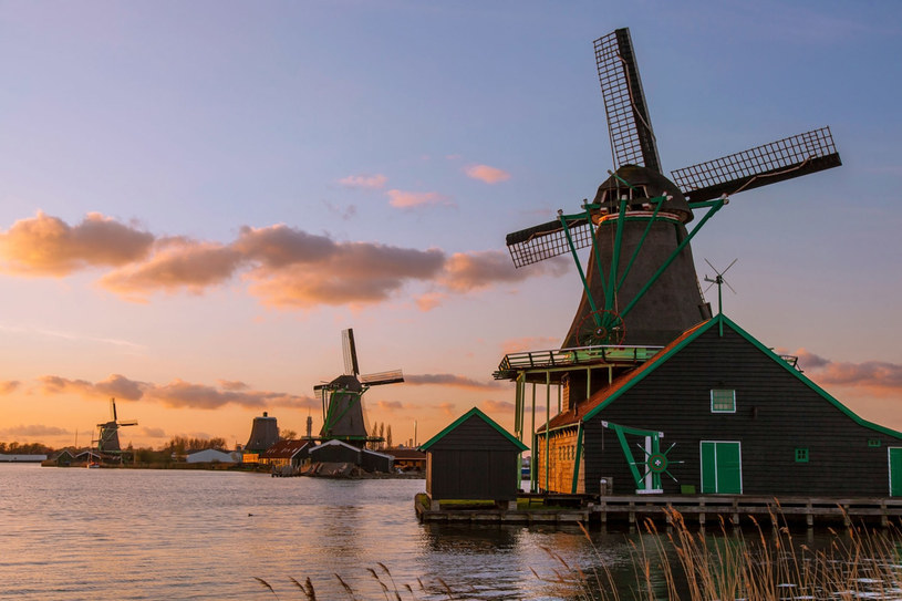 Tradycyjne holenderskie wiatraki w pobliżu Amsterdamu /123RF/PICSEL