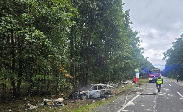 Tragedia na drodze. Auto roztrzaskało się o przystanek, kierowca nie żyje