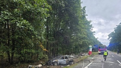 Tragedia na drodze. Auto roztrzaskało się o przystanek, kierowca nie żyje