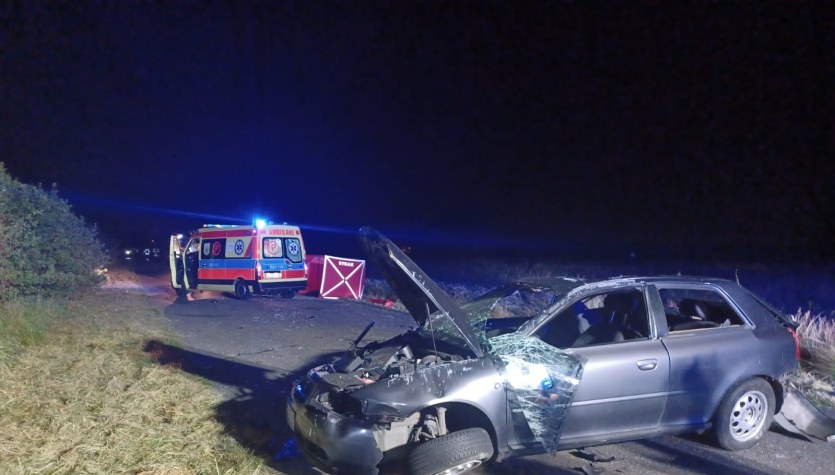 Tragedia na drodze. Kierowca wyrzucony z auta, zderzył się z sarną 