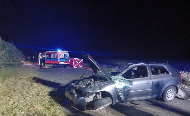 Tragedia na drodze. Kierowca wyrzucony z auta, zderzył się z sarną 