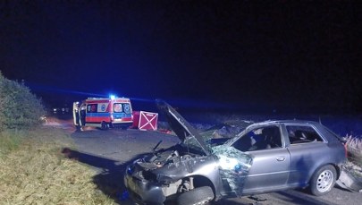 Tragedia na drodze. Kierowca wyrzucony z auta, zderzył się z sarną 