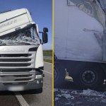 Tragedia na drodze. Nie żyje dwóch mężczyzn