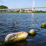 Tragedia na jeziorze. Nie żyje 15-latek