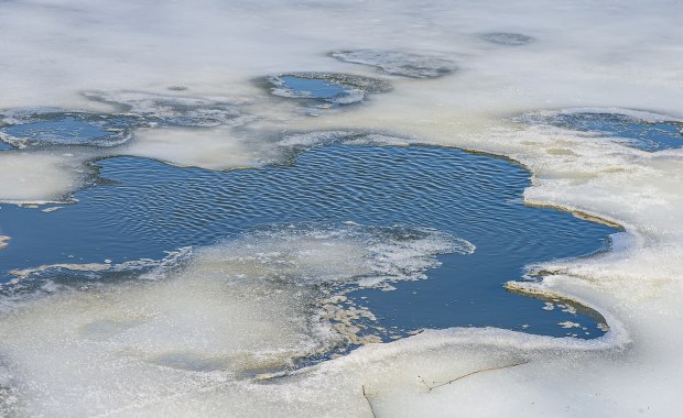 Tragedia na jeziorze Wigry. Nie udało się uratować dwóch nastolatków