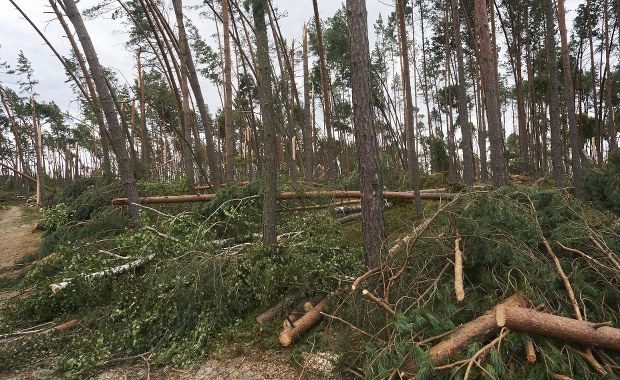Tragedia na obozie harcerskim w Suszku. Postawiono pierwsze zarzuty