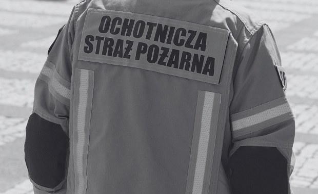 Tragedia na służbie. Nie żyje strażak użądlony przez owady
